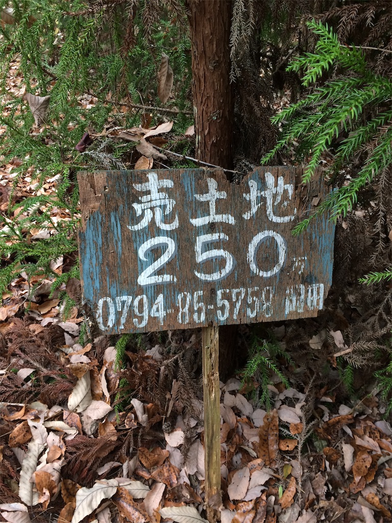 f:id:daycom569:20201212152639j:image