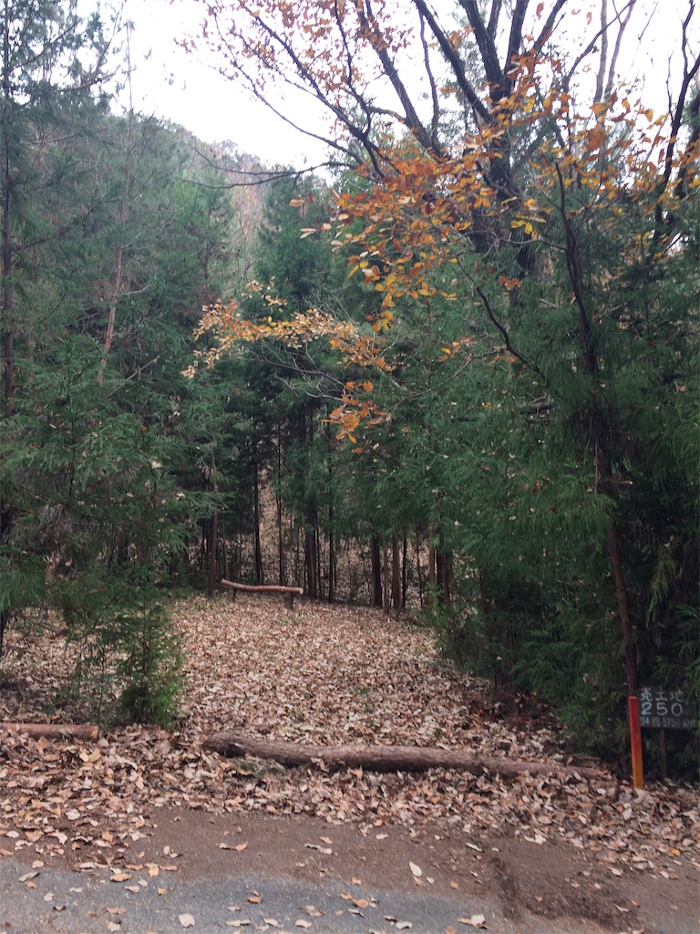 f:id:daycom569:20201213145114j:image