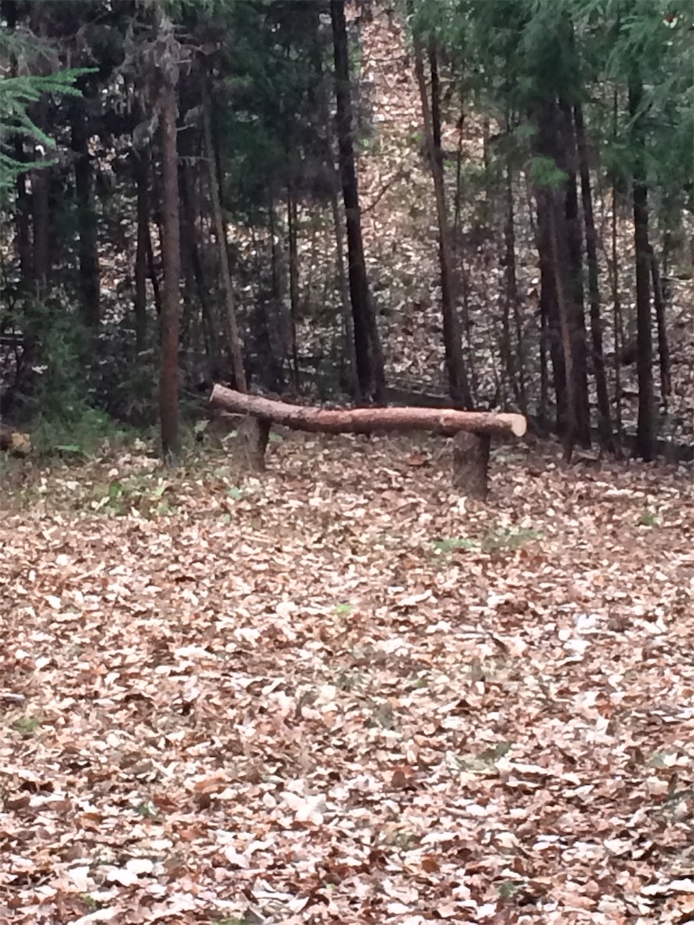 f:id:daycom569:20201213145316j:image