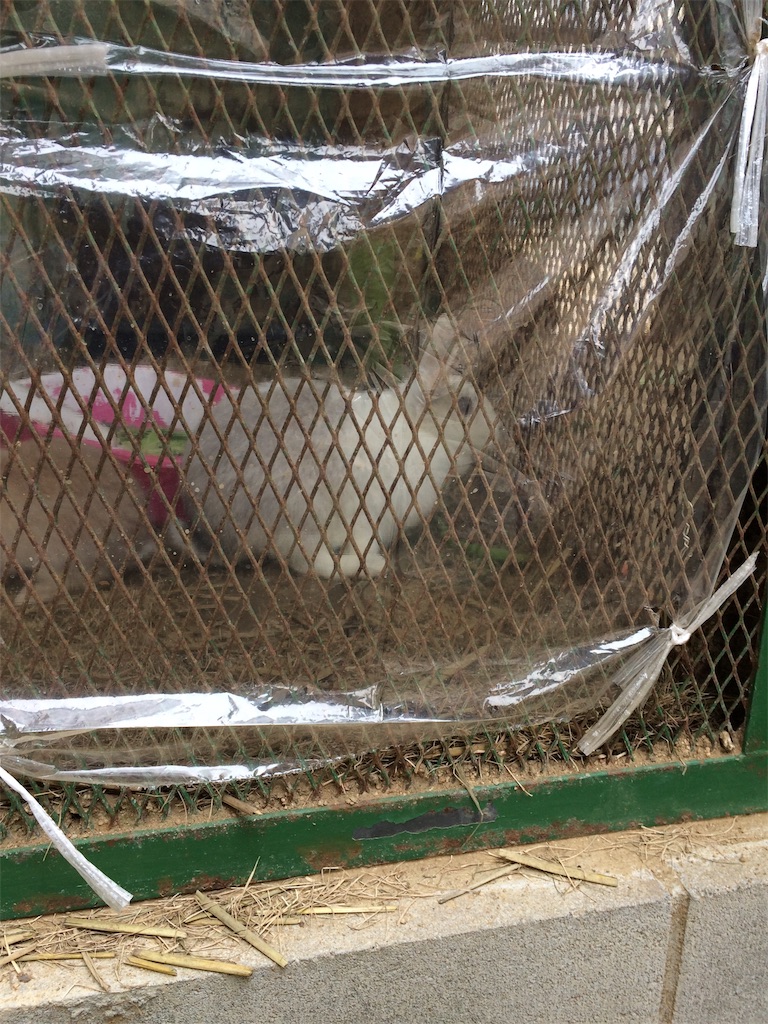 f:id:daycom569:20201213150204j:image