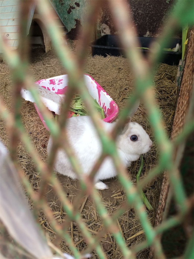 f:id:daycom569:20201213150248j:image