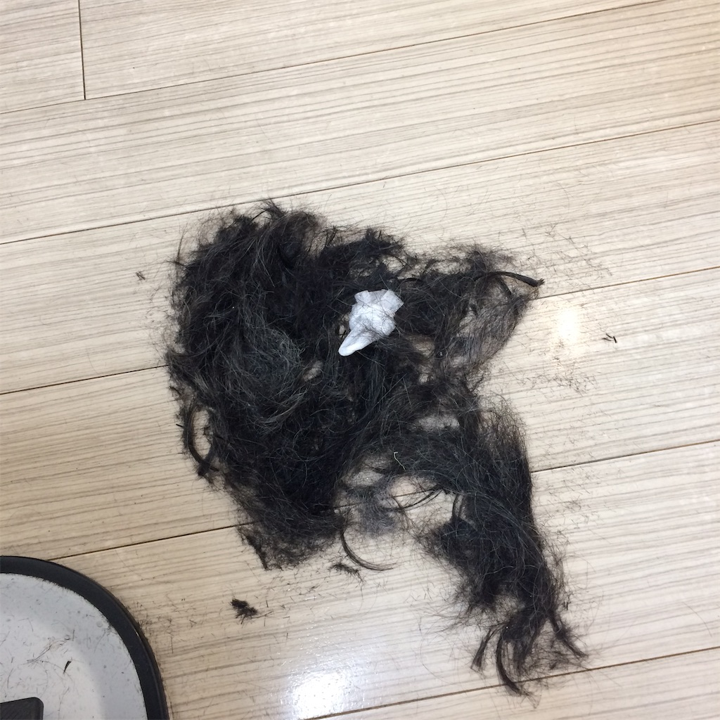 f:id:daycom569:20210411200527j:image