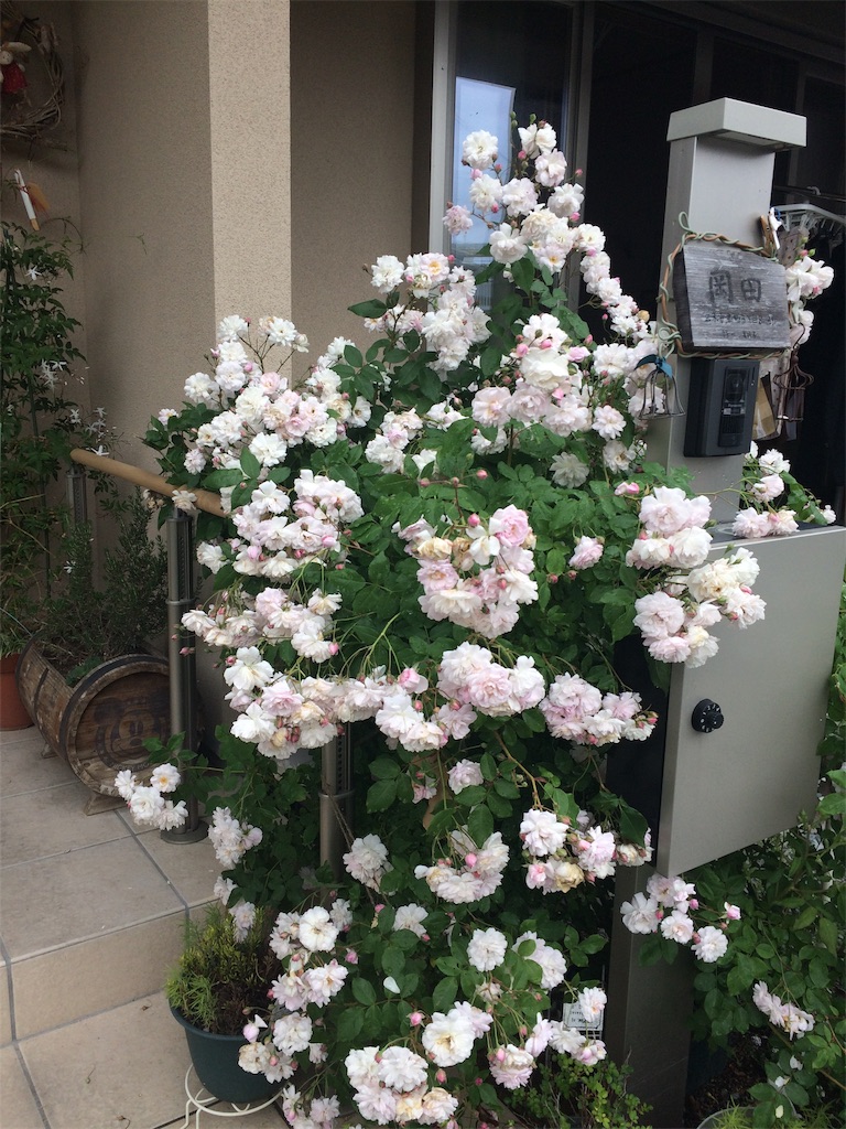 f:id:daycom569:20210516191303j:image