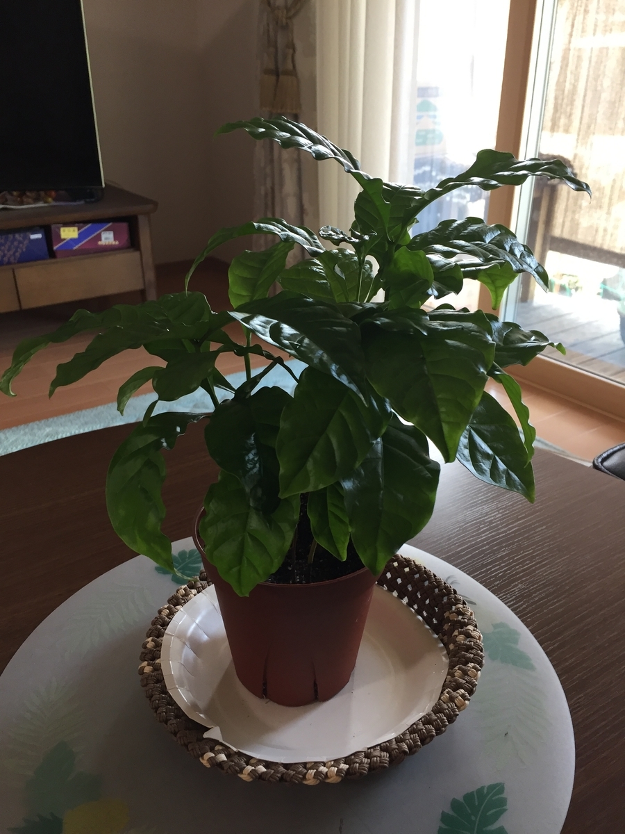 f:id:daycom569:20210828210256j:plain