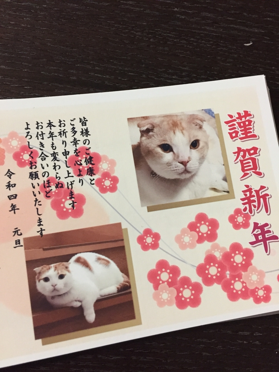 f:id:daycom569:20220101200237j:plain