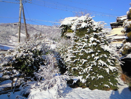 f:id:daymixture02:20080204074300j:image:w300