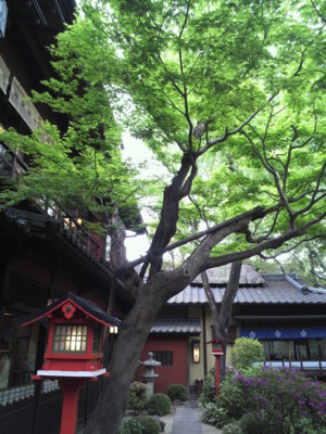 f:id:daymixture02:20120430234410j:image f:id:daymixture02:20120430234410j:image