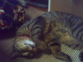 20110321145847