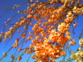 20110417135758