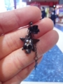 アスカに貰った(*＞∀＜*)