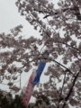 暗いけど…