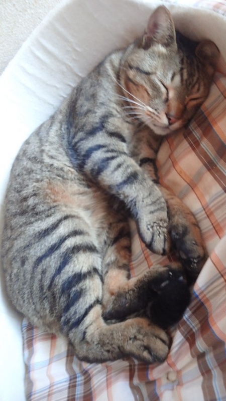 まだ眠い