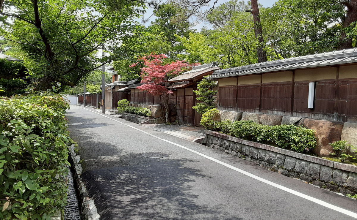 f:id:days-in-kyoto:20210618074656j:plain