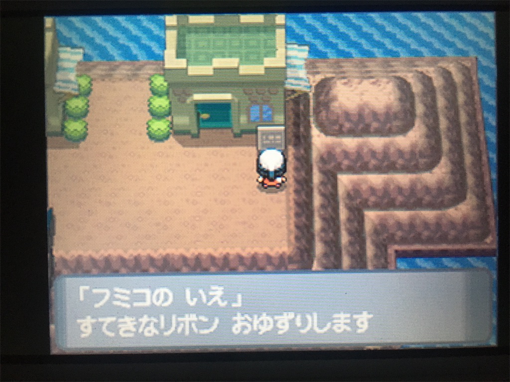 ポケモン ポケモンに付けれるリボンを全て付け リボンコンプ84 二つ名や称号をたくさんつける 84種類 Days Of The Future
