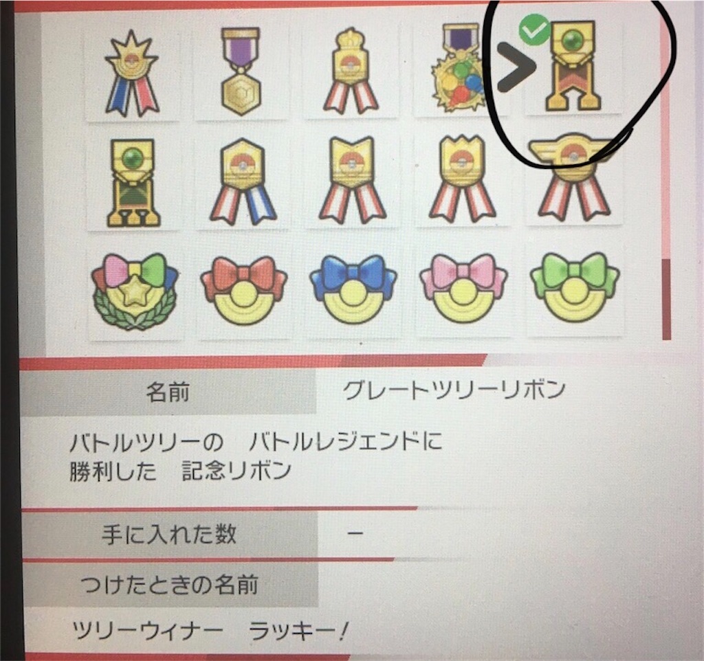 ポケモンリボンコンプ 4世代産版 ダイヤモンドパールプラチナハートゴールドソウルシルバー Days Of The Future