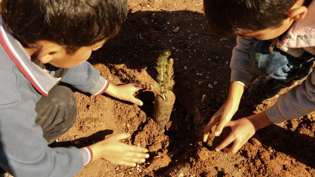 f:id:daysforsyria:20170423172732j:plain 木を植える子ども達