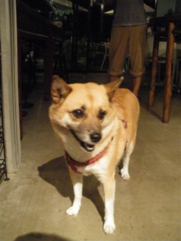 f:id:daysuke:20090825161610j:image