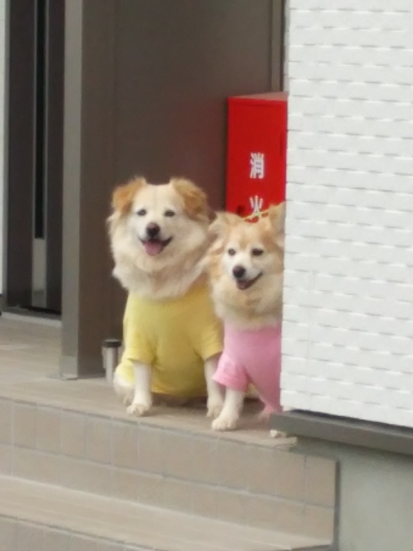 イメージ 1