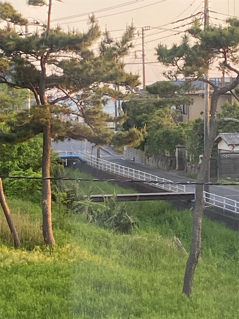 f:id:dayusan:20240711155446j:image