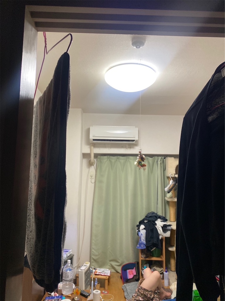 f:id:dayusan:20250701084618j:image