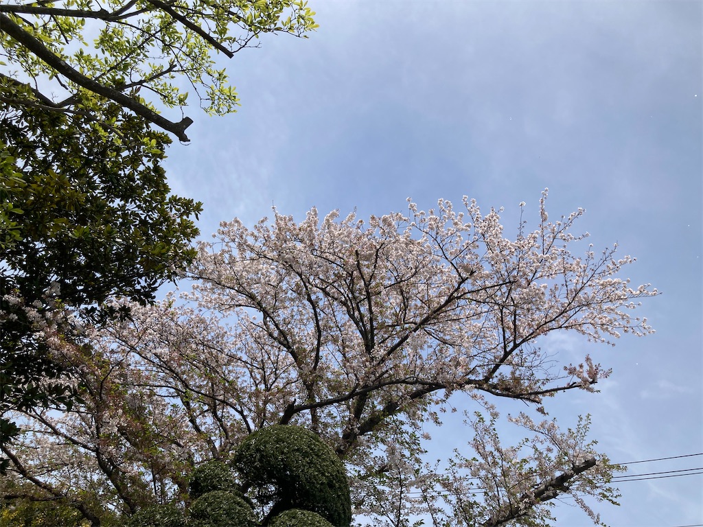 f:id:dbd-hans-collection101:20260410153543j:image