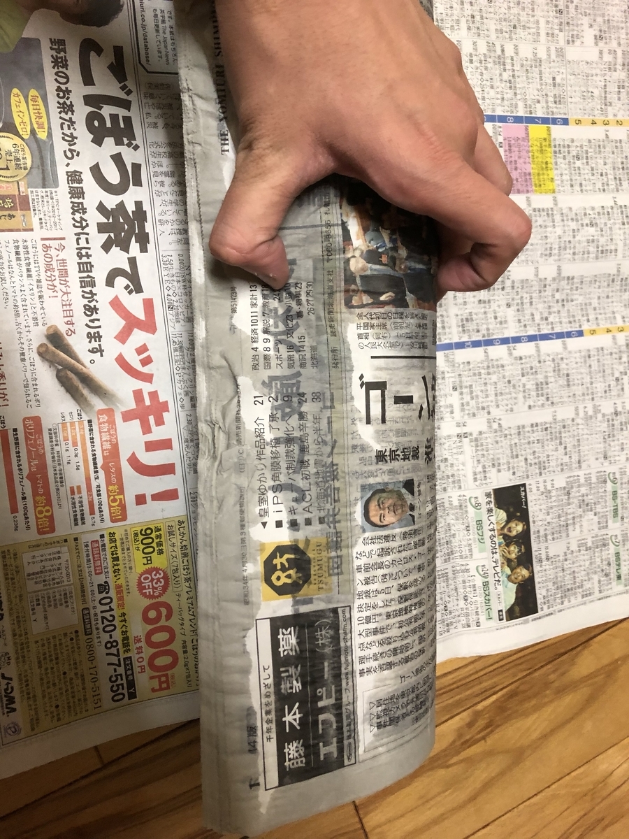 f:id:dbd753851:20190316101757j:plain f:id:dbd753851:20190316101757j:plain