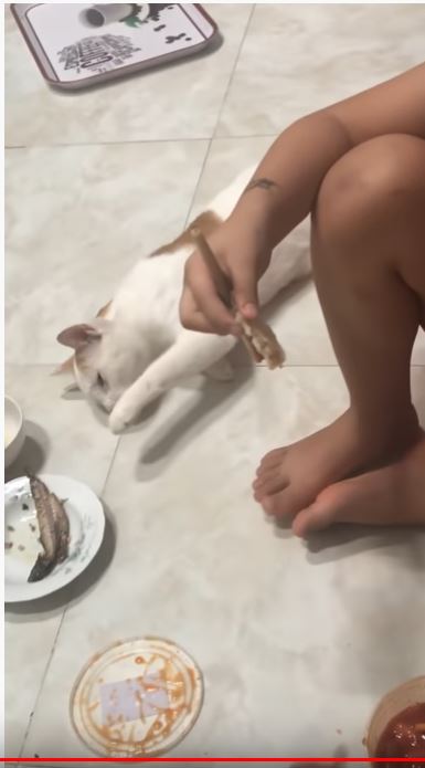 寝たふりをするネコちゃん