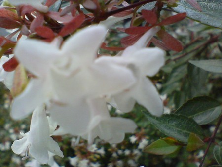 f:id:dbpwriter:20070921102443j:image