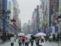 [しゃしん]雨の午後はぁ