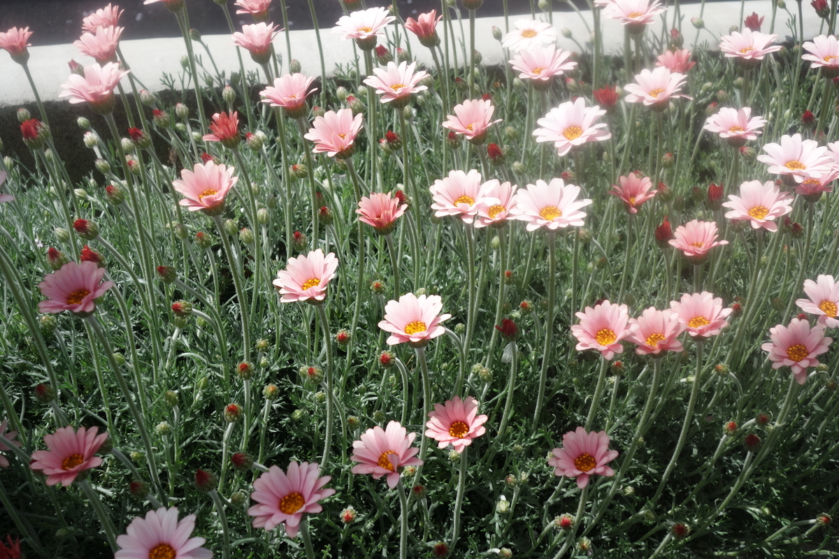 f:id:dcb1603:20220406232953j:plain