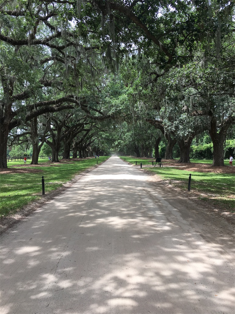 f:id:dcdemorouhi:20170615142658j:image f:id:dcdemorouhi:20170615142658j:image