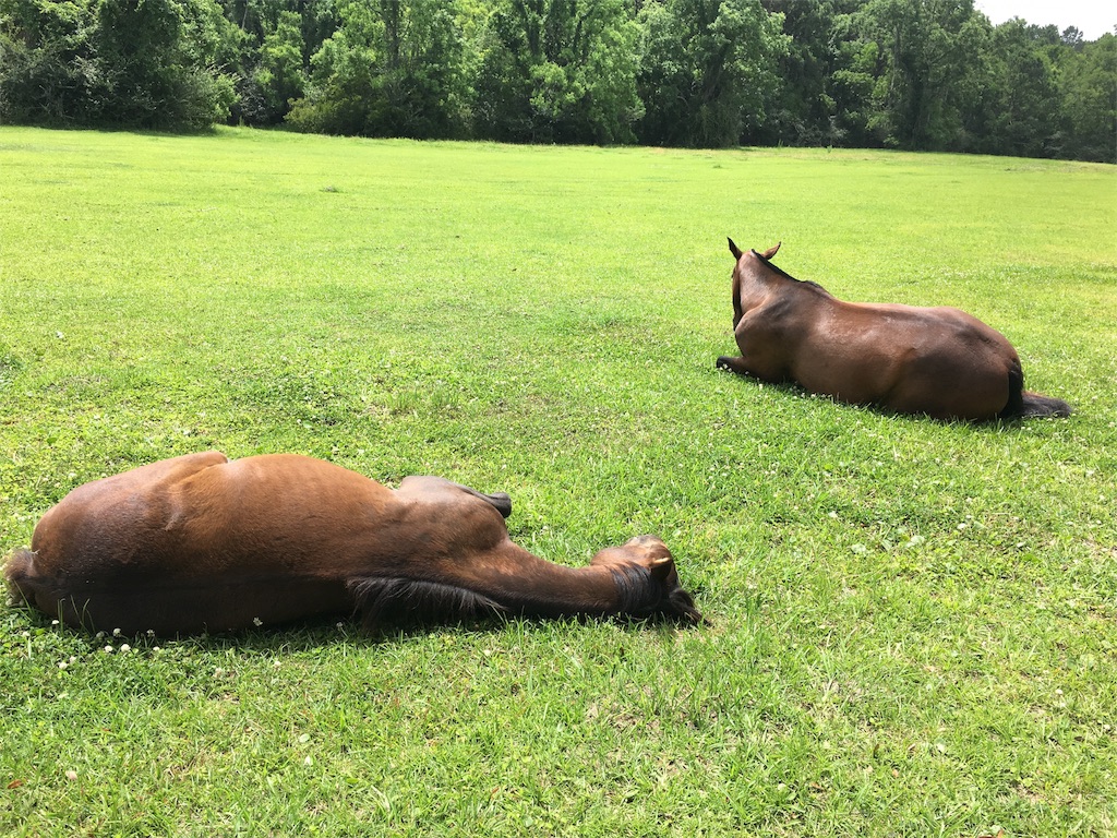 f:id:dcdemorouhi:20170615142742j:image f:id:dcdemorouhi:20170615142742j:image