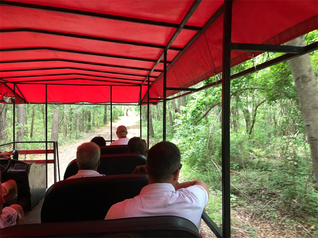 f:id:dcdemorouhi:20170615144157j:image f:id:dcdemorouhi:20170615144157j:image