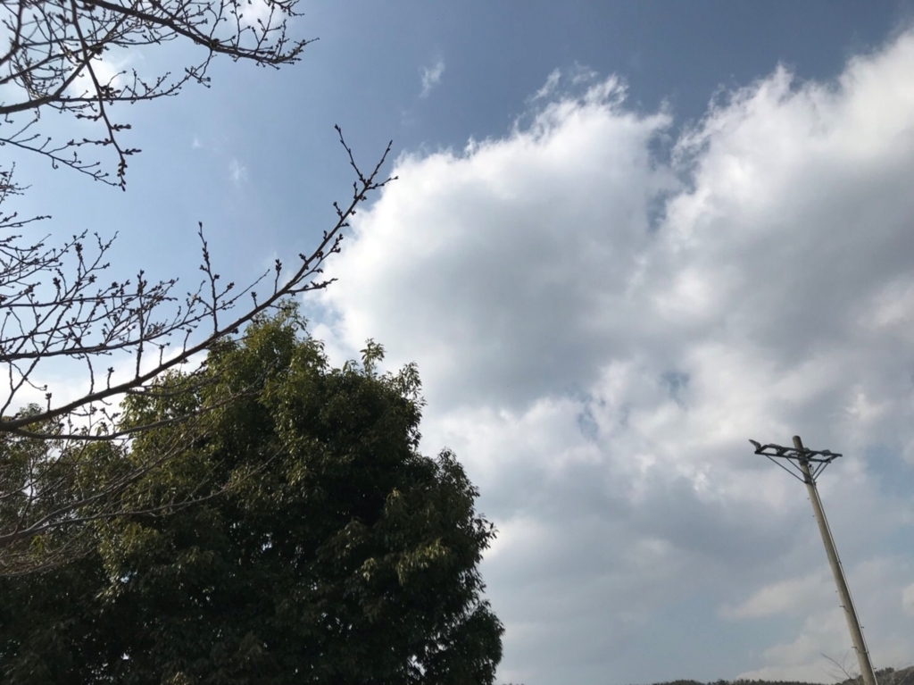f:id:dcosme:20180311150032j:plain