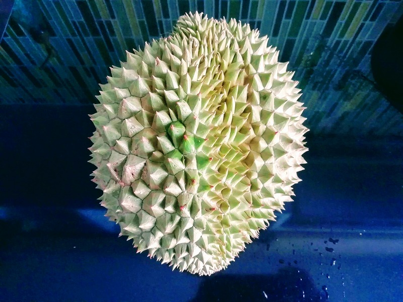 f:id:dctyk:20190427131417j:plain