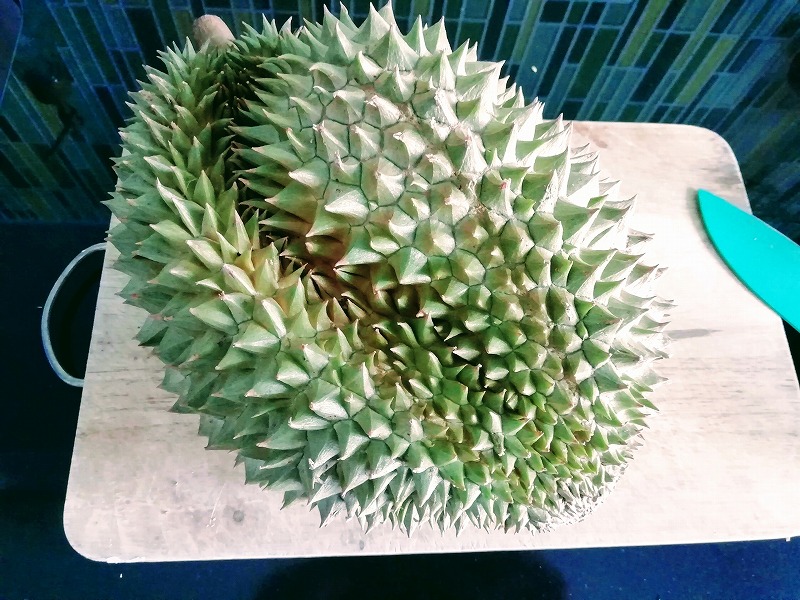 f:id:dctyk:20190427131607j:plain