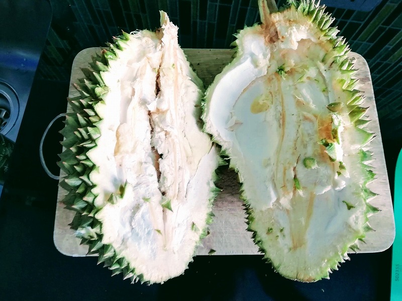 f:id:dctyk:20190427131840j:plain