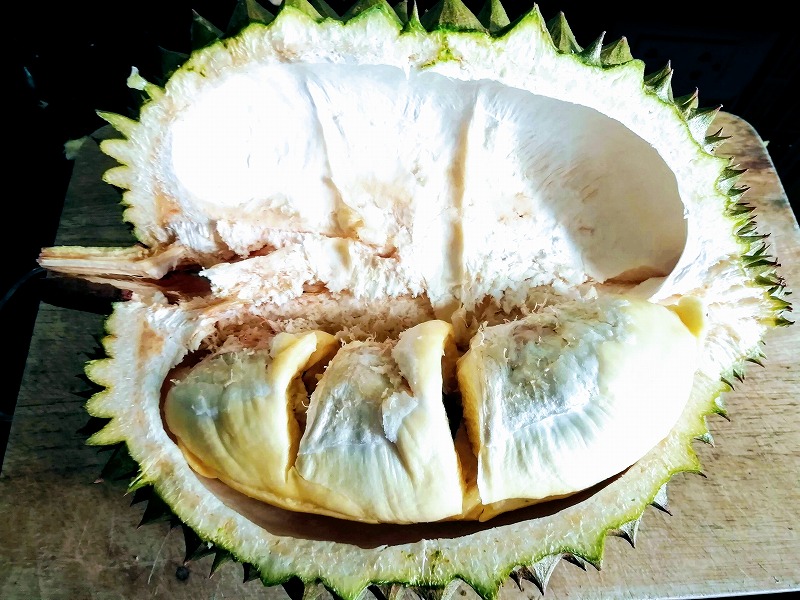 f:id:dctyk:20190427132106j:plain