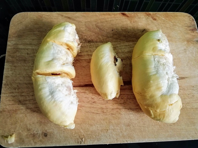 f:id:dctyk:20190427132252j:plain