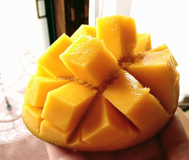 f:id:dctyk:20190531191843j:plain