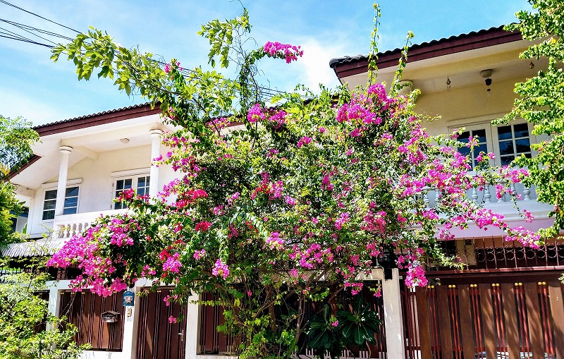 f:id:dctyk:20190810115357j:plain f:id:dctyk:20190810115357j:plain