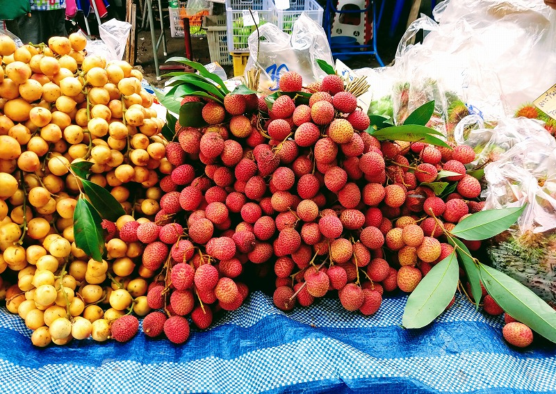 f:id:dctyk:20210610125630j:plain