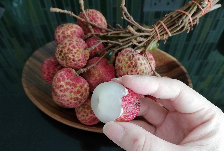 f:id:dctyk:20210610131512j:plain