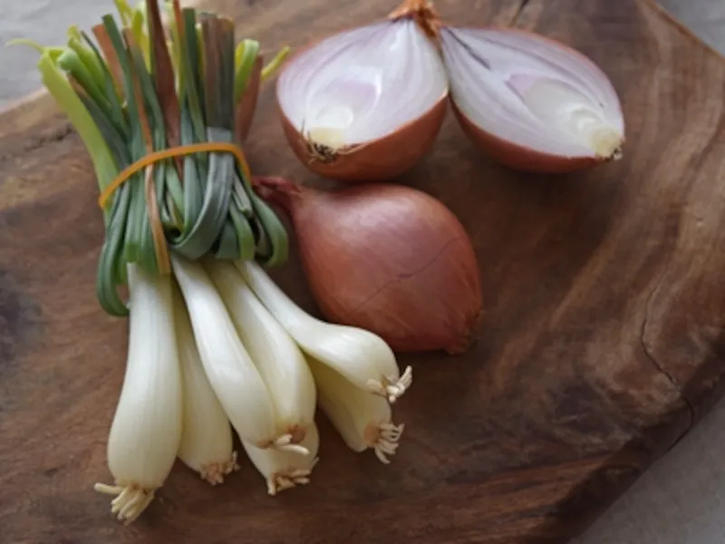 f:id:dctyk:20211101101245p:plain