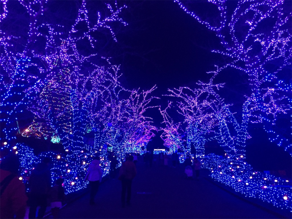 f:id:ddblog4321:20190130084208j:plain f:id:ddblog4321:20190130084208j:plain