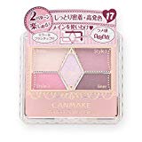 キャンメイク　パーフェクトスタイリストアイズ　１７