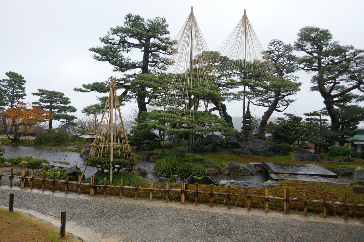 f:id:ddbpxj:20200203205247j:plain f:id:ddbpxj:20200203205247j:plain