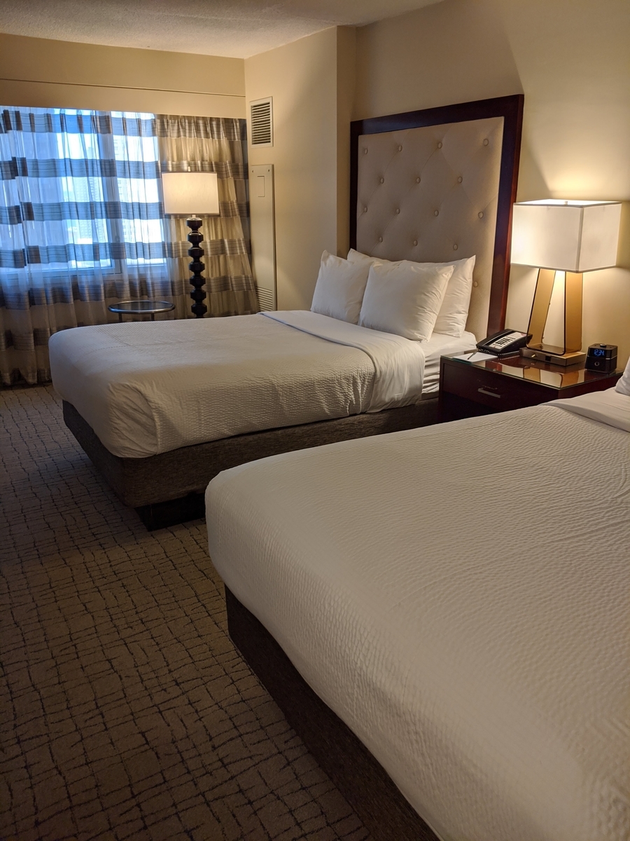 f:id:ddbpxj:20201127182253j:plain