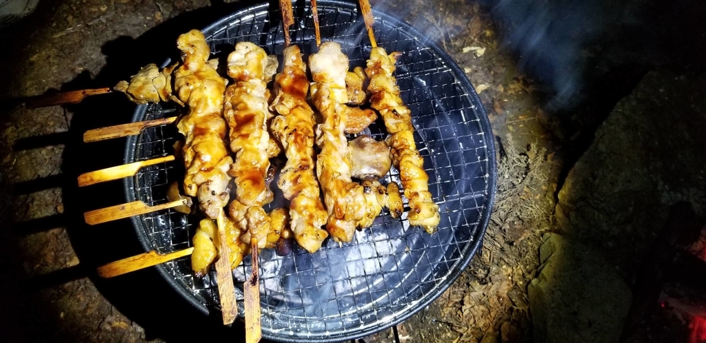 f:id:ddcamp:20181019203313j:plain f:id:ddcamp:20181019203313j:plain