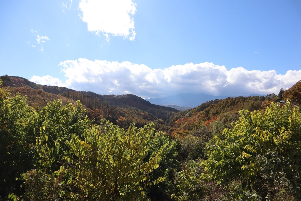 f:id:ddcamp:20181030204332j:plain f:id:ddcamp:20181030204332j:plain